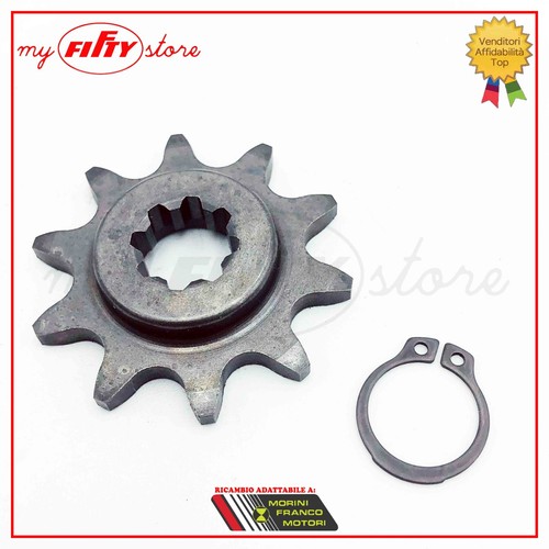 Pignone trasmissione denti - pignone,