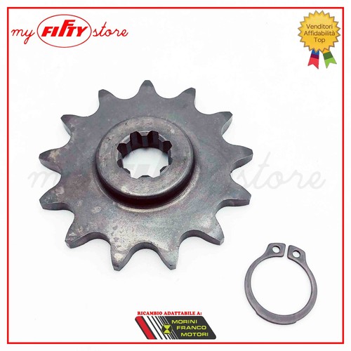 Pignone motore z13 - z13, franco
